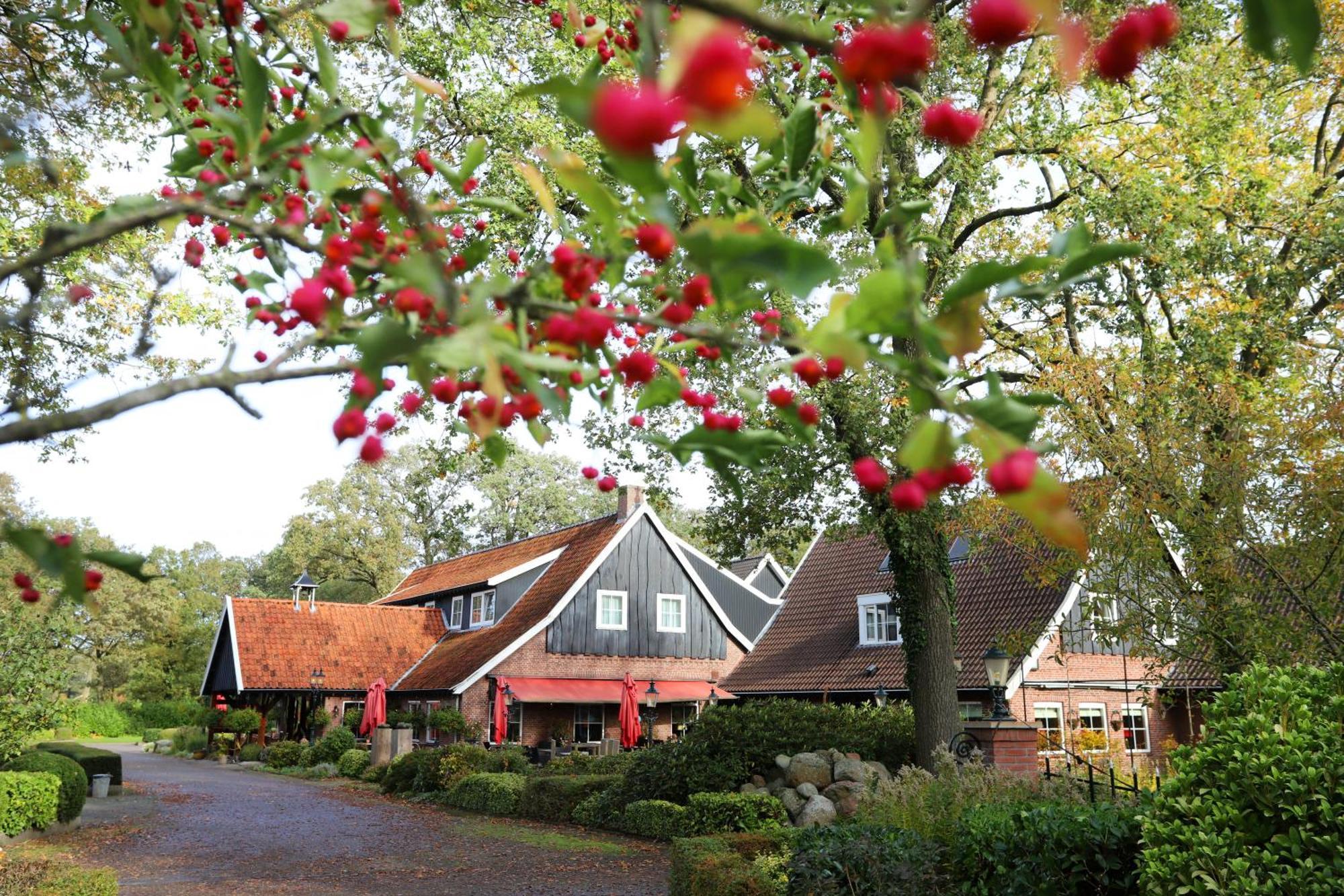 Het Ros Van Twente De Lutte Eksteriør bilde